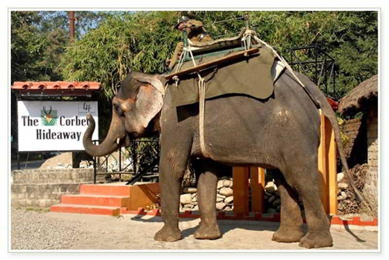 Taj Corbett Resort And Spa Uttarakhand Rāmnagar Eksteriør bilde
